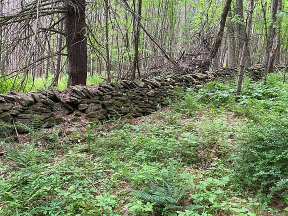 5th image of 1541 Cochecton Tpke