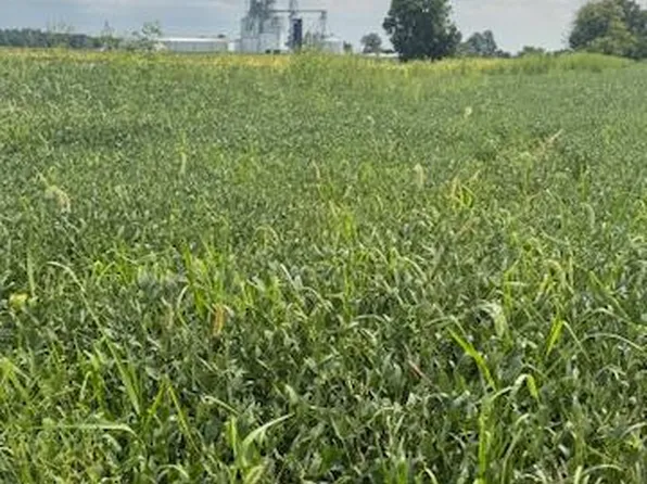 5700 E State Road 44, Franklin, IN 46131