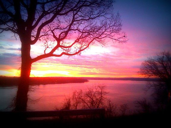 Feet from Old Hickory Lake