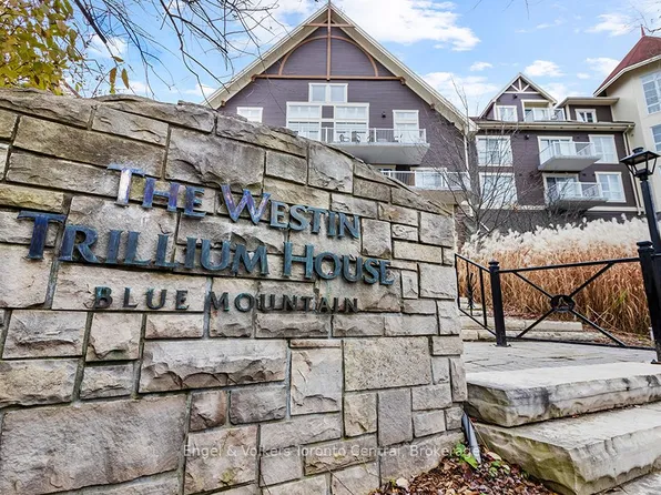 220 Gord Canning Dr #477, The Blue Mountains, ON L9Y 0V9