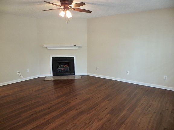 Electric Fireplace