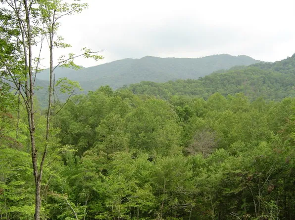 Loon Ln, Whittier, NC 28789