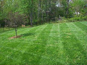 2nd image of 4371 1st Street Dr NW