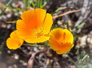 1611 9th St, Los Osos, CA 93402