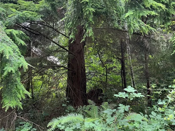 52 Jonna Drive, Point Roberts, WA 98281