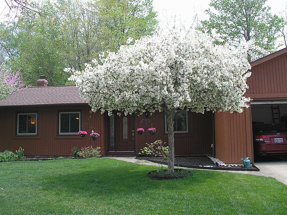 4th image of 7149 Selworthy Ln