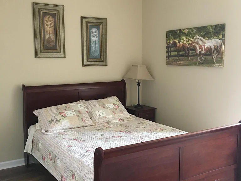 207 Three Runs Plantation Dr — Photo 11