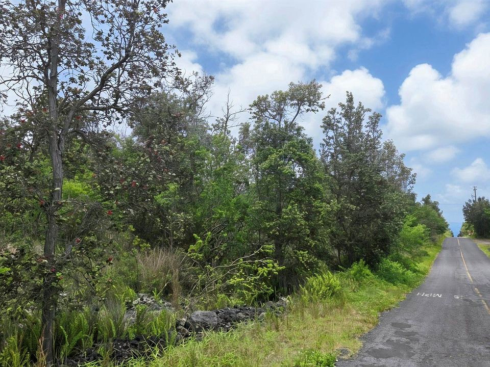 1st image of Orchid Pkwy