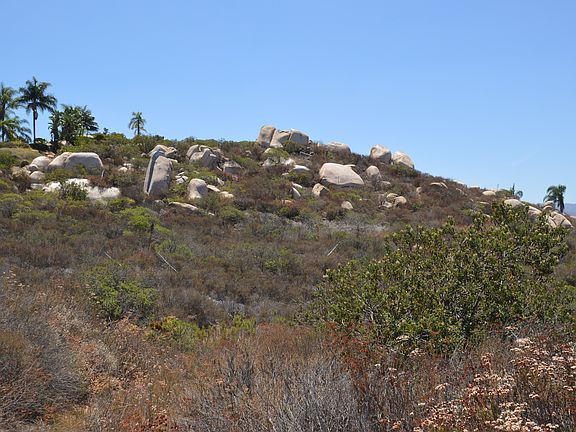 2nd image of Lot 79 Ufano