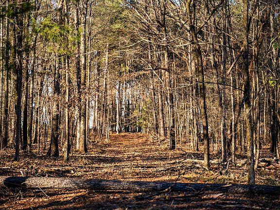 5th image of LOT 1 Old Waverly Rd