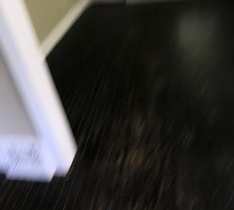 4th image of 4139 Forest Ave