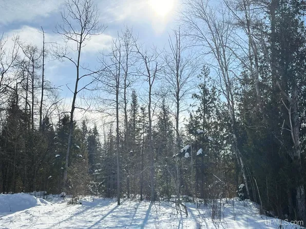 County Road 442, Manistique, MI 49854