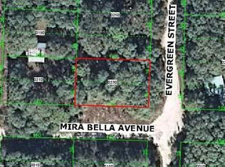 13205 Mira Bella Ave, New Port Richey, FL 34654