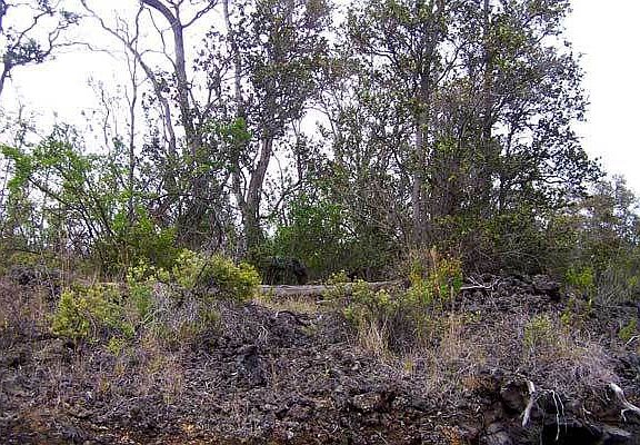 Looking at lot 32 from the roadway.