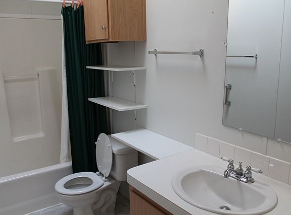 140 Timber Ridge Loop guest bath_05182015