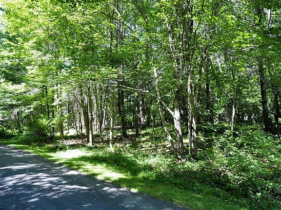 3rd image of 0 River Road Ext