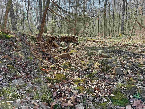 4th image of 0 Arrowhead Rd