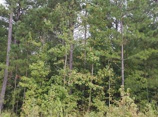 339 Shadow Mist Ln, Elgin, SC 29045