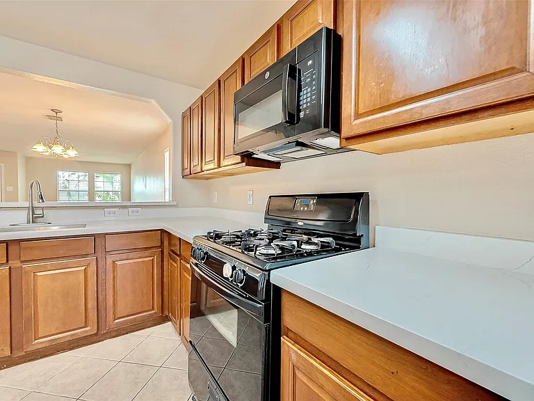 19319 Summer Island Way — Photo 9
