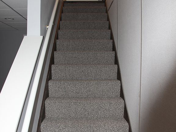 Basement stairs Newly Carpeted!