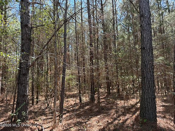 3rd image of County Road 4102