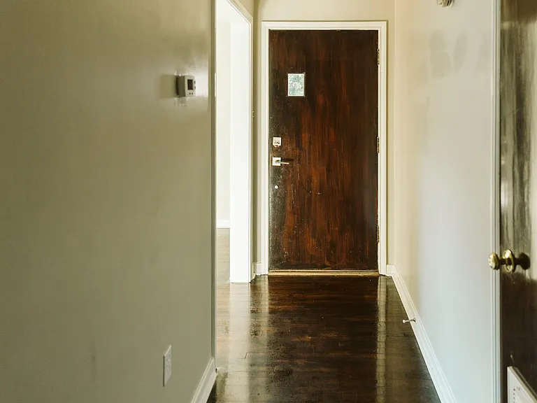 Front Entrance door and hall