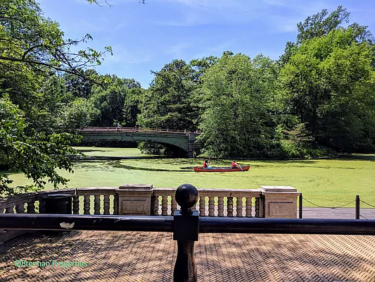 Rented by Manhattan Management LLC | media 92