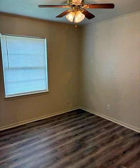 1805 Thelma Ln — Photo 20