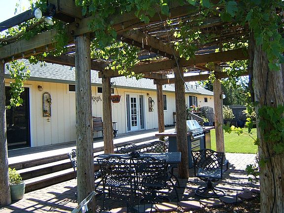 Backyard- Grape Abour Patio/BBQ