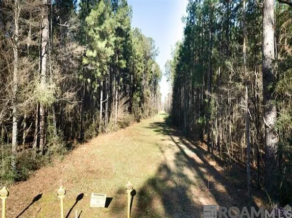 TRACT Four Jim Price Rd #V, Greenwell Springs, LA 70739