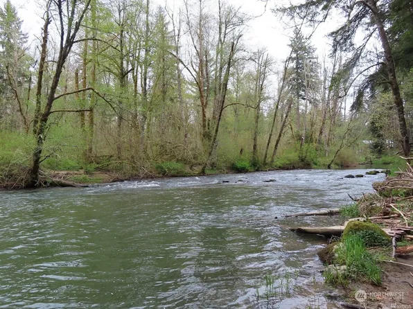 16324 Village Drive SE, Rainier, WA 98576