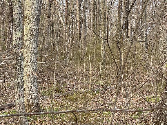4th image of 4 Mountain Lake Dr Lot Lto