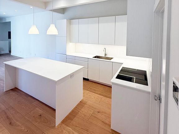 European-style eat-in kitchen with built-in fridge, dishwasher and induction stove top