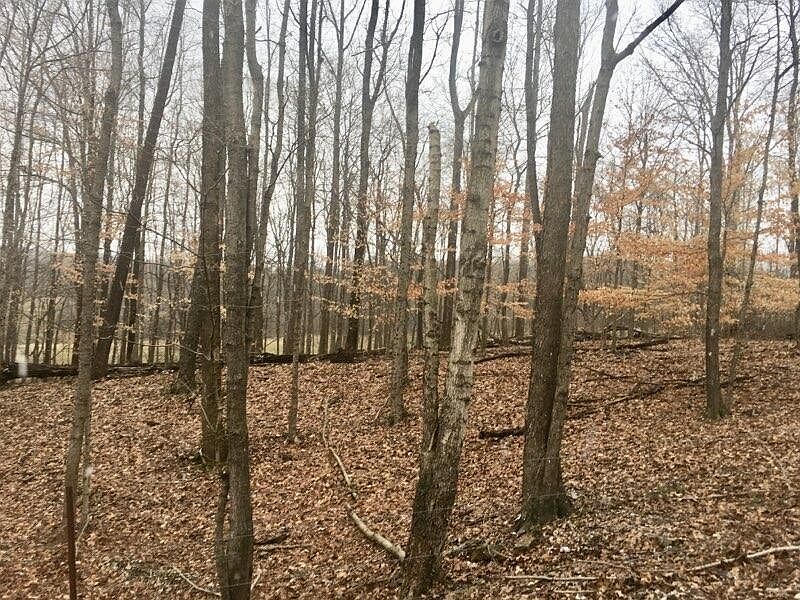 2nd image of 515 Pete Pritchett Ln