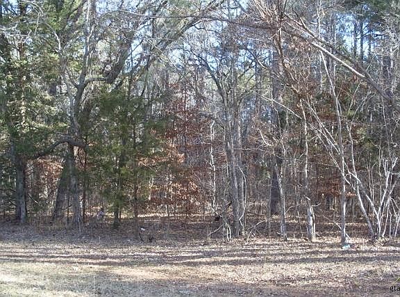 4th image of LOT 12 Fm 19