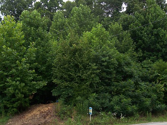 4th image of 4484 Beech Nut Ct