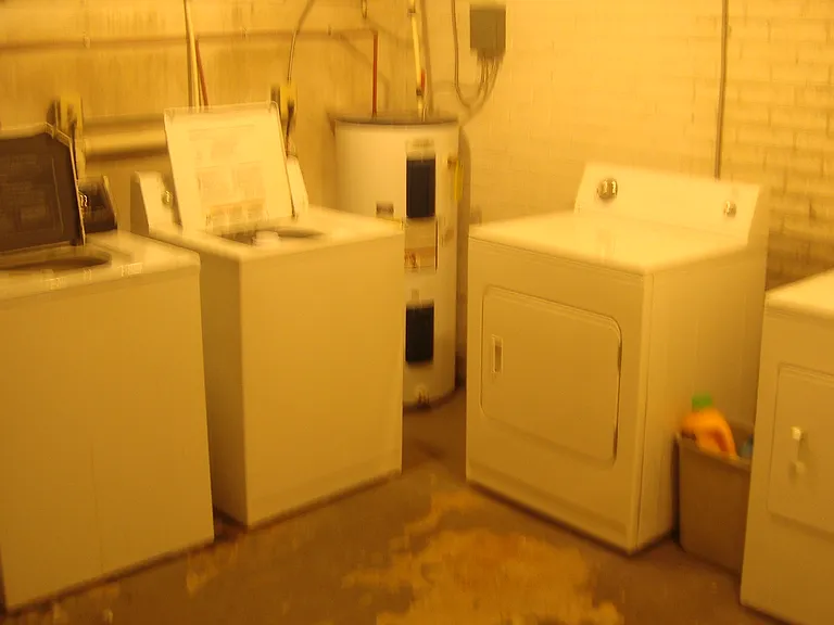 517 N Wilson Ave #201 — Photo 6