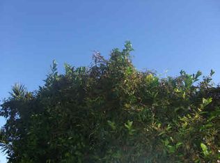 Puni Mauka Loop S LOT 319, Pahoa, HI 96778