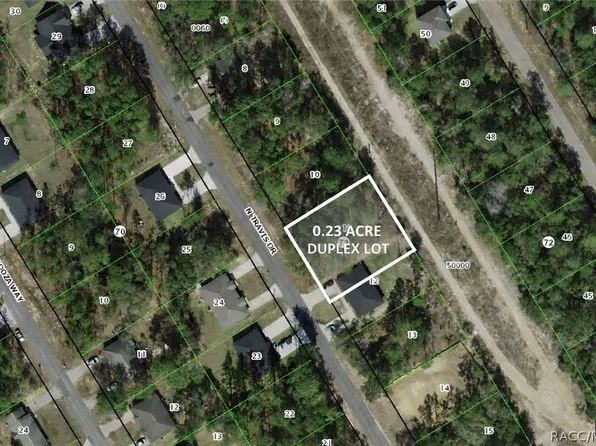 9219 N Travis Dr, Citrus Springs, FL 34434