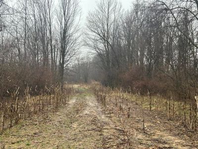S Hillsdale Rd #-v/l, Hillsdale, MI, 49242