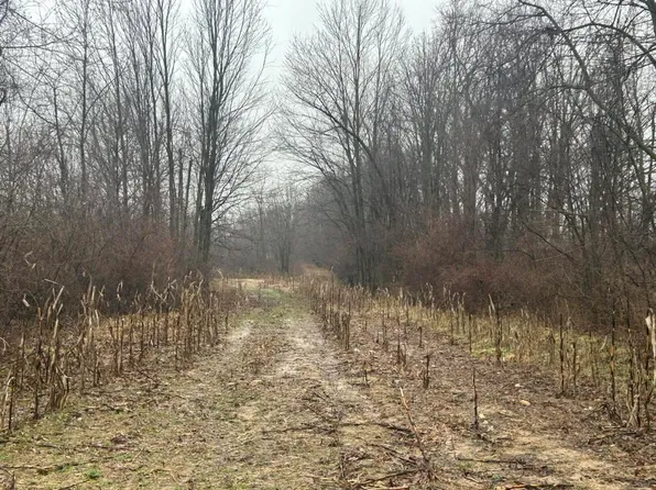 S Hillsdale Rd #-v/l, Hillsdale, MI 49242