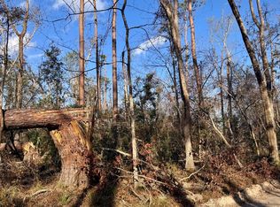 LOT 208 76th Way SW, Jasper, FL 32052