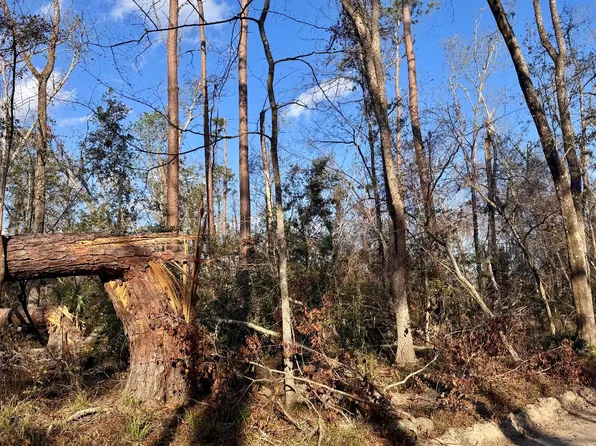 LOT 208 76th Way SW, Jasper, FL 32052