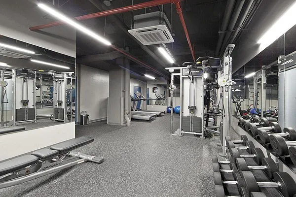 Rented by Bold Marketing | media 15