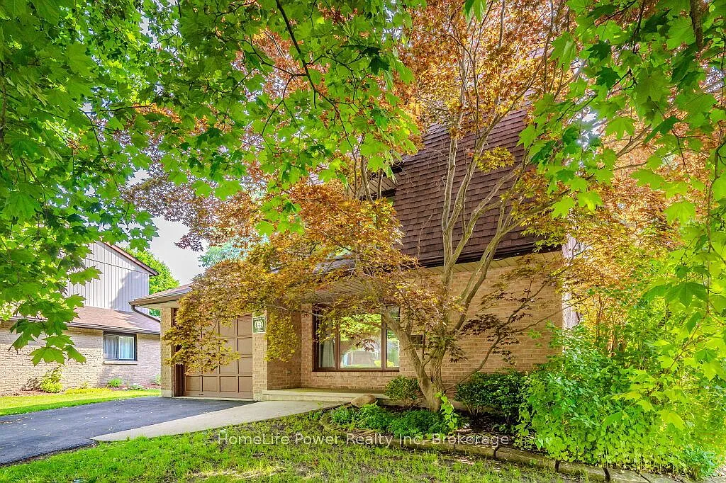 3 bed, $3,650 — Photo 4