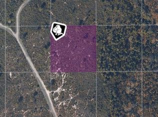 County Rd Lot 42, Oak Hill, FL 32759