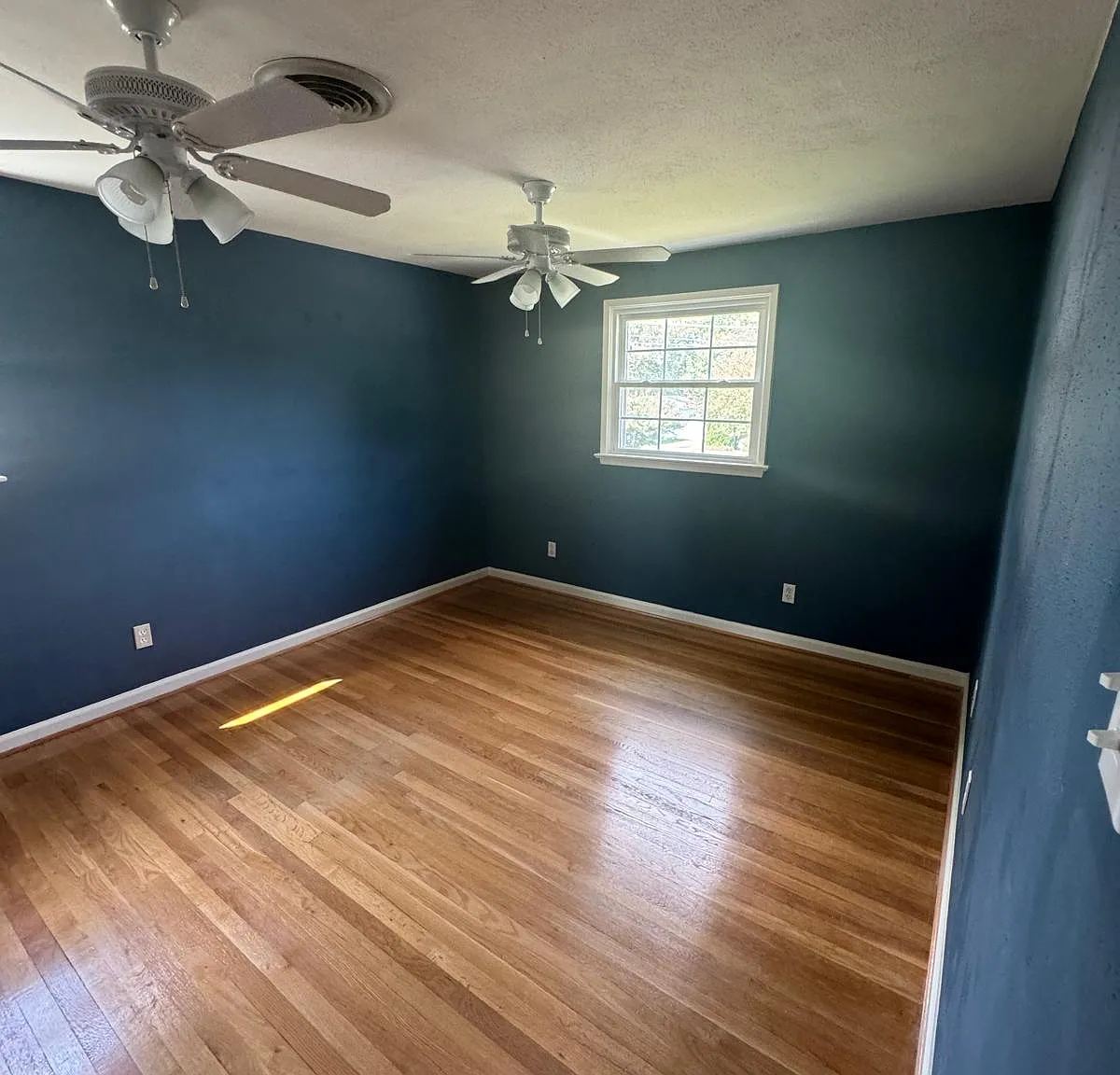 1 bed, $800 — Photo 2