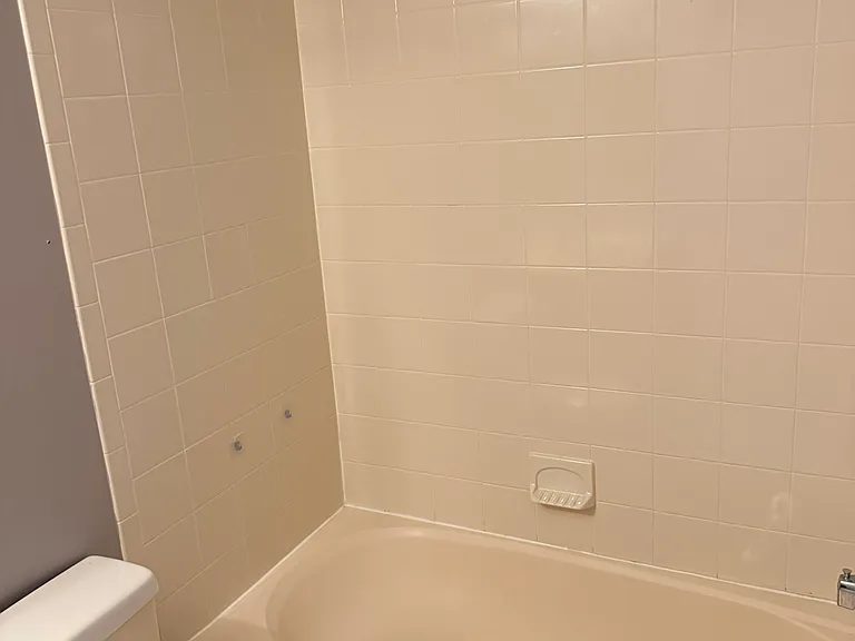 Common Bathroom