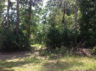 117 Oakwood Rd, Satsuma, FL 32189