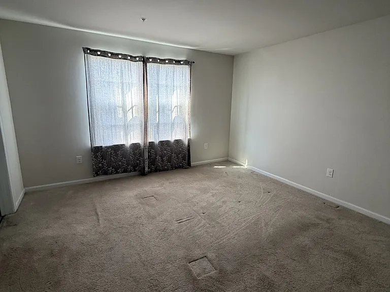 9518 Royal Tern Dr — Photo 19